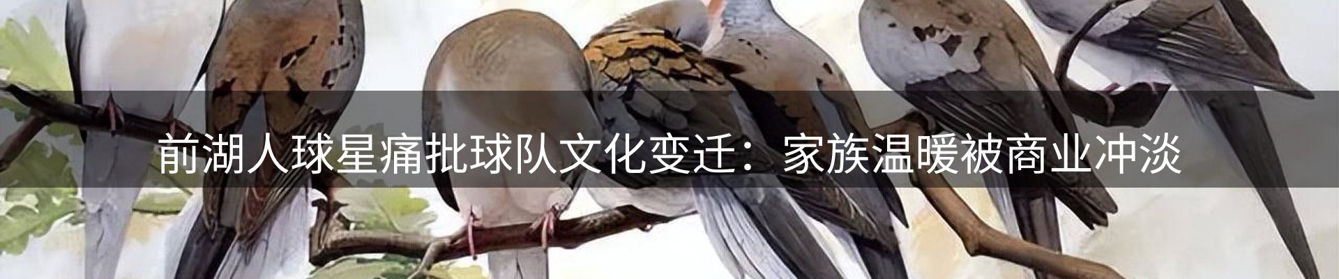 品牌观察